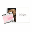 Easilocks Power Scrunchie (Set of 2) QVC Scrunchie Easilocks Lightest Brown Ombre 